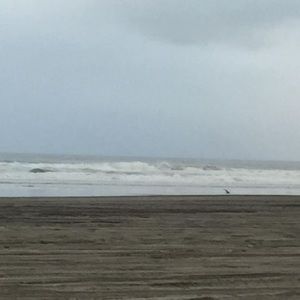 Meet your Posher, Stephen